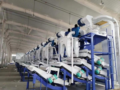Sunflower seeds shelling production line