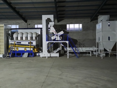 Color sorting production line of Sunflower seeds