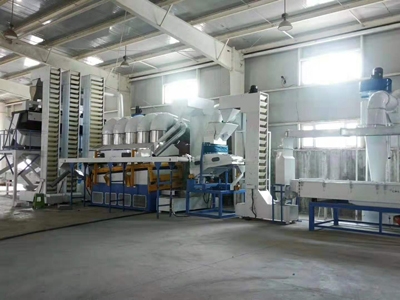 Color sorting production line of Sunflower seeds