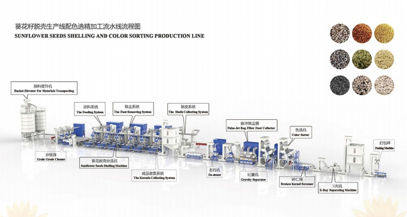 SUNFLOWER SEEDS SHELLING AND COLOR SORTING PRODUCTION LINE