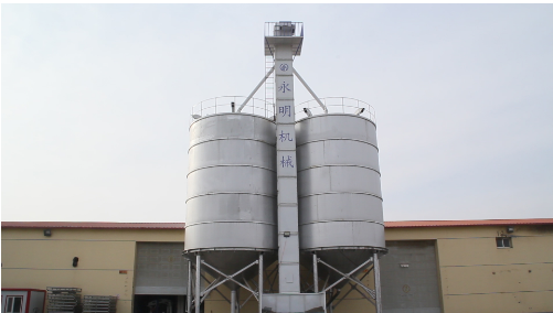 Double chain bucket elevator